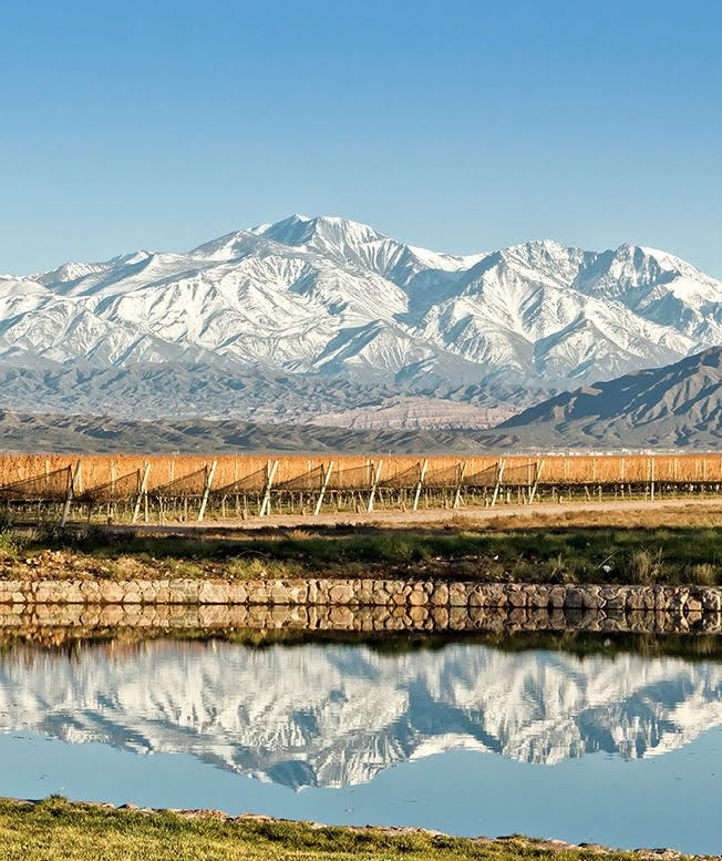 Viaggio in Argentina in 9 calici
