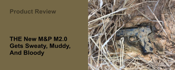 Informational Article