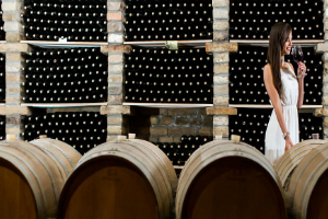 Sur la route des vins en Bourgogne