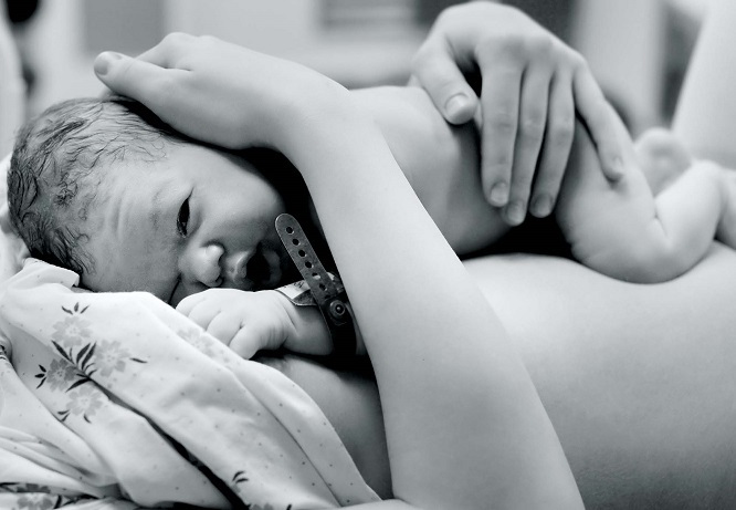 An image description