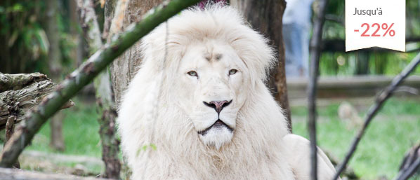 Séjour en famille au Zoo d'Amnéville