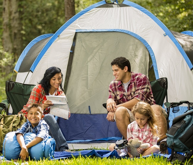 An image description