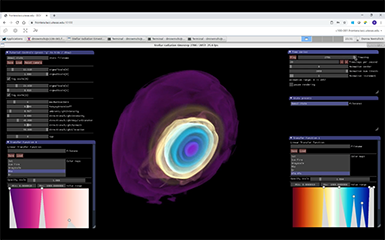 Visualization, File System Use Cases Show Value of Large Memory Fat Nodes on Frontera